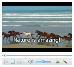 preview subtitle