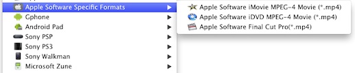 imovie output format