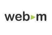 Convert WebM for iPod