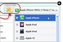 Any Video Converter Ultimate suporta muchos formatos de DVD y video