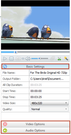 Screenshot Any Video Converter Free