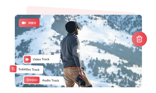 edit mkv tracks before convert to mp4