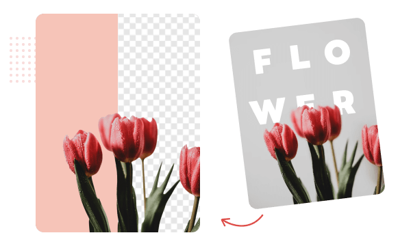 make an image have a transparent background