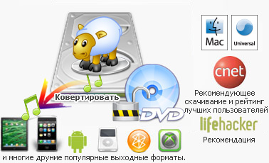 download the new version for android DVD-Cloner Platinum 2023 v20.20.0.1480